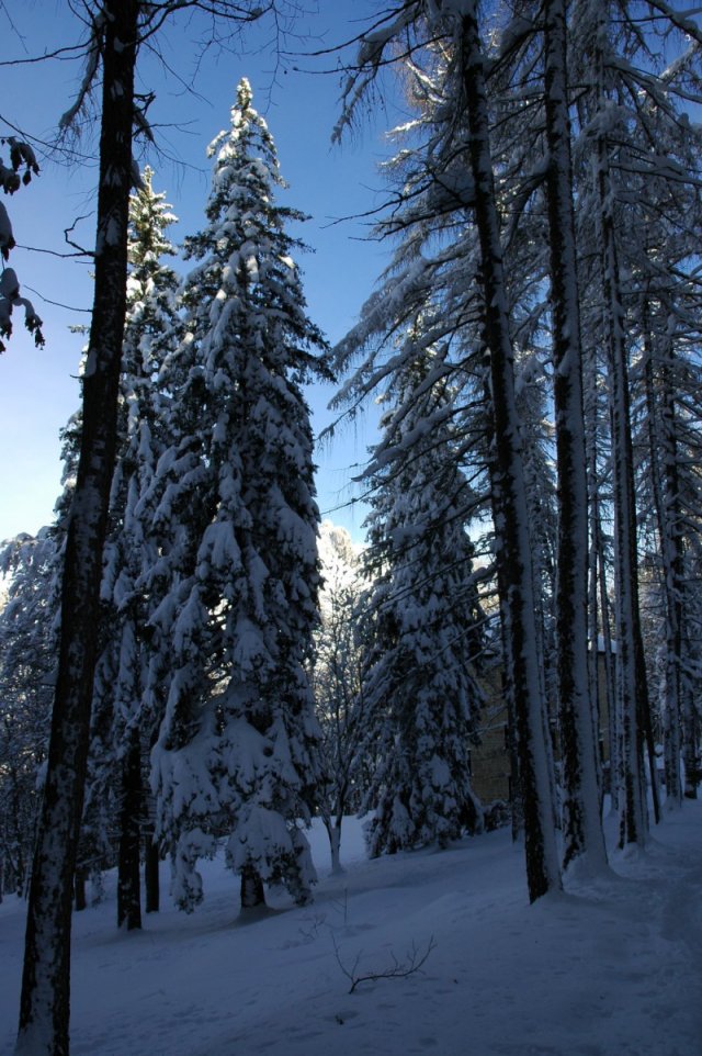 Parco Valentino al Monte Coltignone